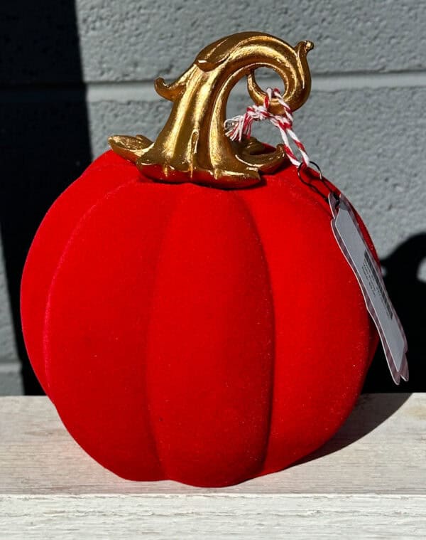 Velvet Pumpkin - Image 2