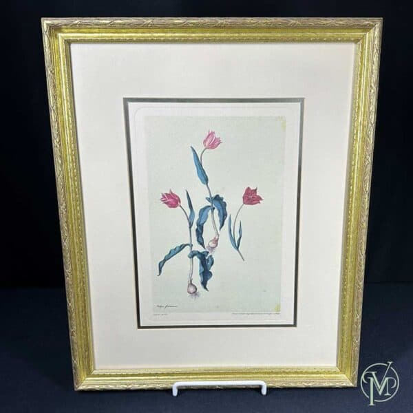 Vint FlowerPics/2 - Image 2