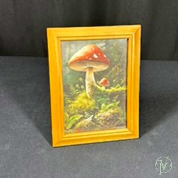 Mushroom Framed Art - Image 2