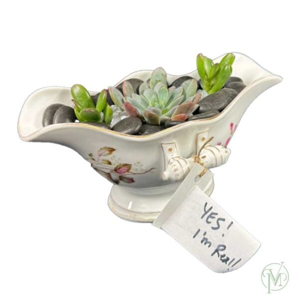 Succulent Planter 2 - Image 3