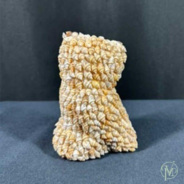 Shell Owl - Image 2