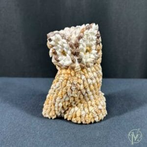 Shell Owl