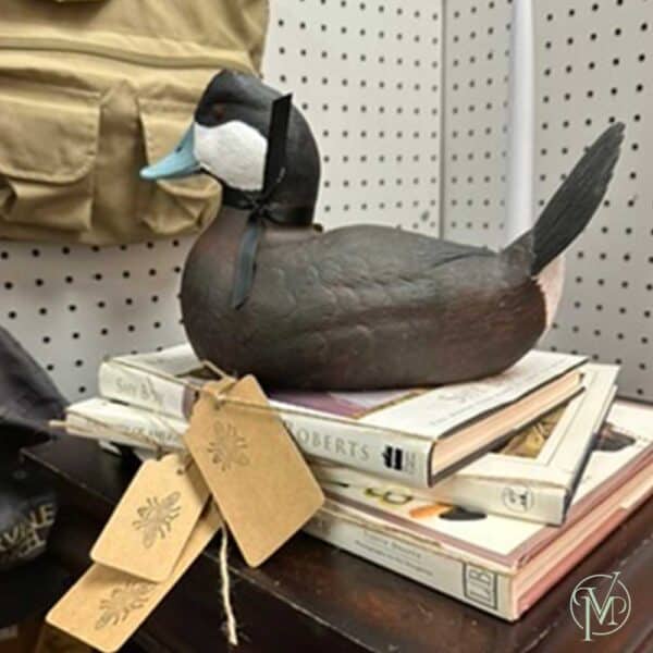 Ruddy Drake - Image 5