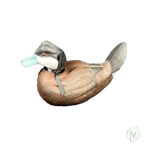 Ruddy Drake - Image 4