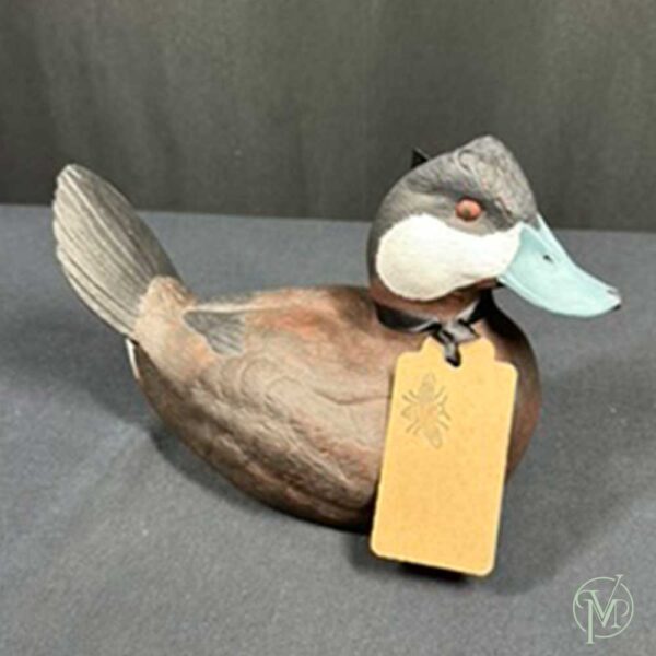 Ruddy Drake - Image 3