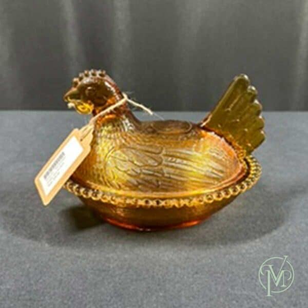 Amber Hen on Nest