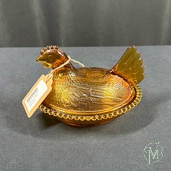 Amber Hen on Nest - Image 2