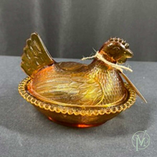Amber Hen on Nest - Image 5