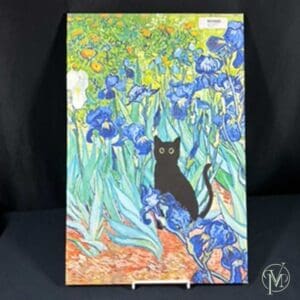 Black Kitty Picture