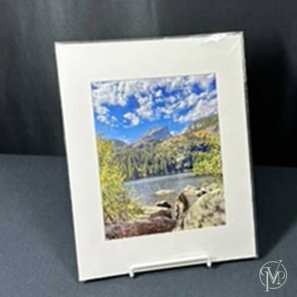8 x 10 Photography - Image 3