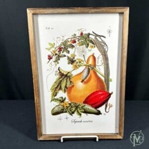 Fall Botanical Framed