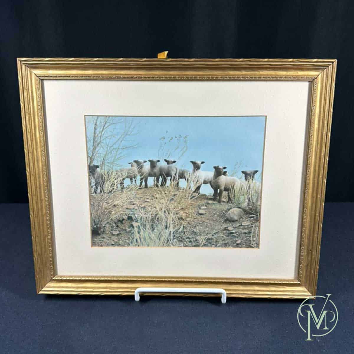 Gold Framed Sheep