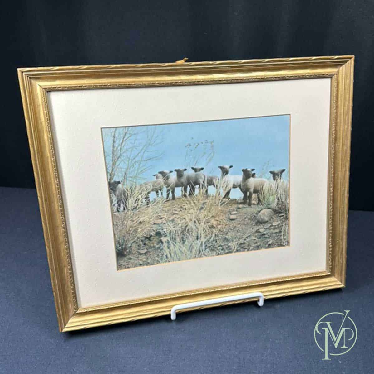 Gold Framed Sheep - Image 3