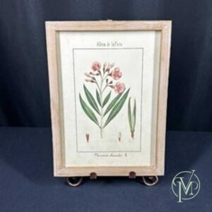 Album de la Flora Picture