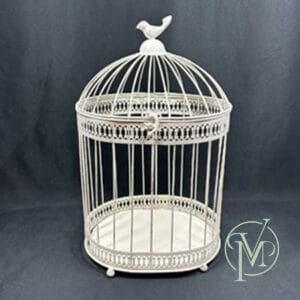 Large White Birdcage