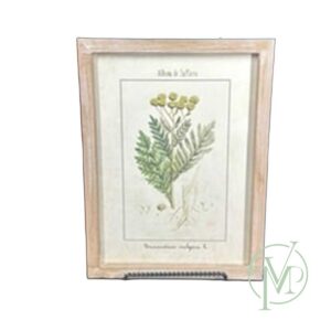 Album de la Flora