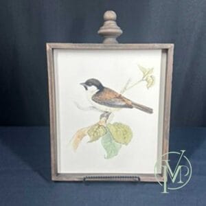 Feathered Friends II