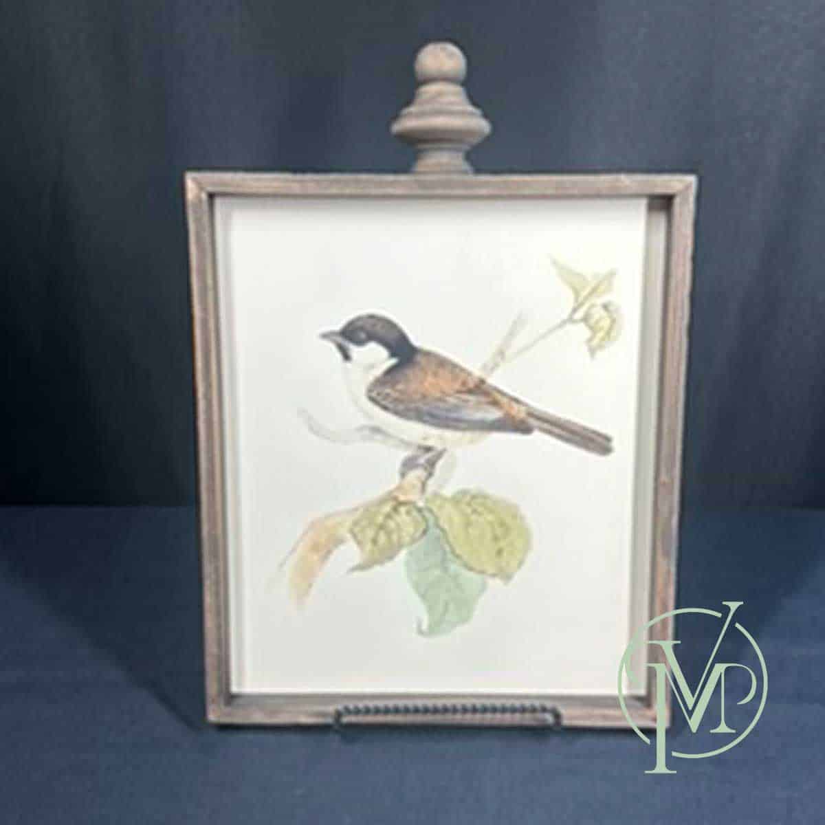 Feathered Friends II