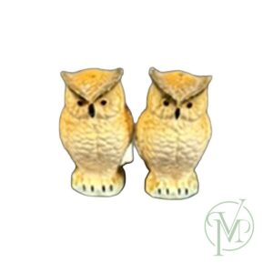 Owl Salt and Pepper Set